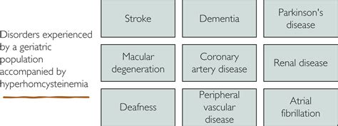 hyperhomocysteinemia|hyperhomocysteinemia mayo clinic.